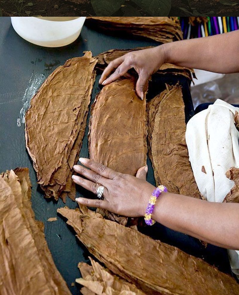 Hands smoothing wrapper leaves at a rolling table.