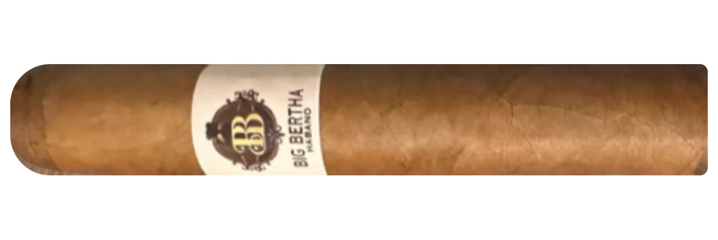 Big Bertha Robusto by Big Bertha Cigars, side view